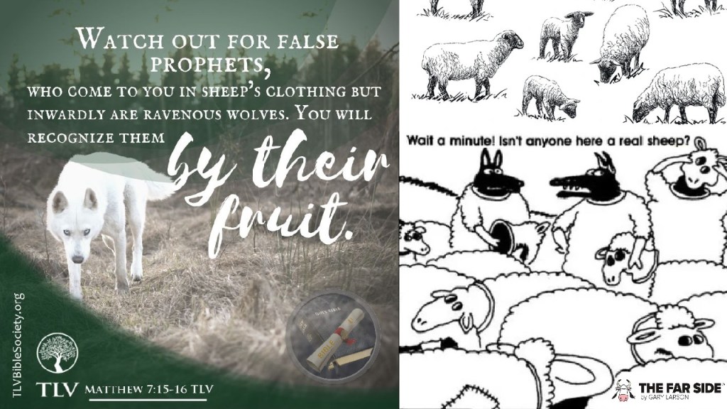 Wolves in Sheep’s&nbsp;Clothing